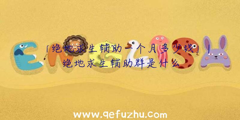 「绝地求生辅助一个月多少钱」|绝地求生辅助群是什么